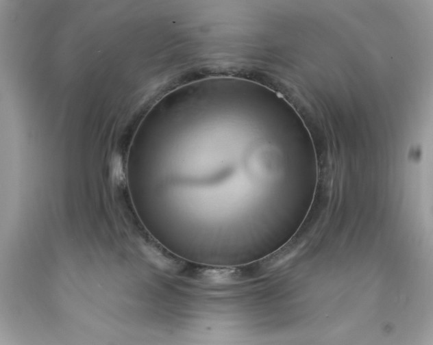 X0000091590089200709051130