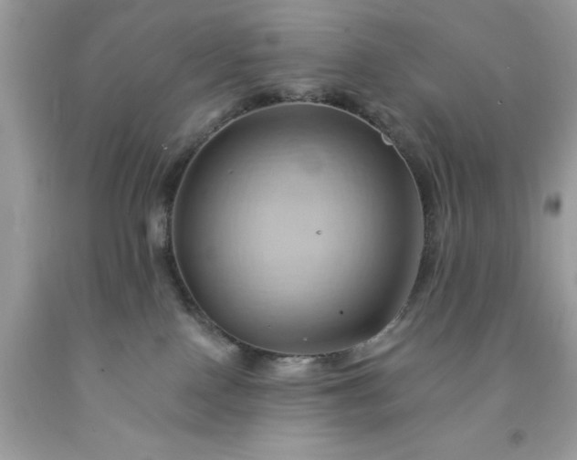 X0000091590090200709051130