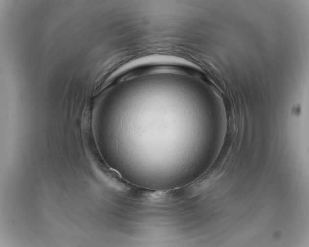 X0000091590092200709051130