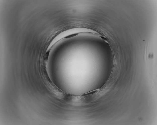 X0000091590096200709051131