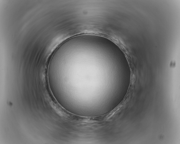 X0000091590098200709051130