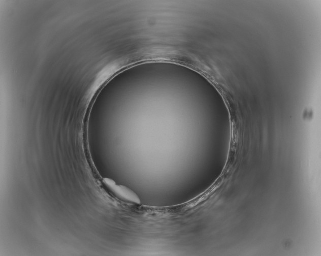 X0000091590099200709051130