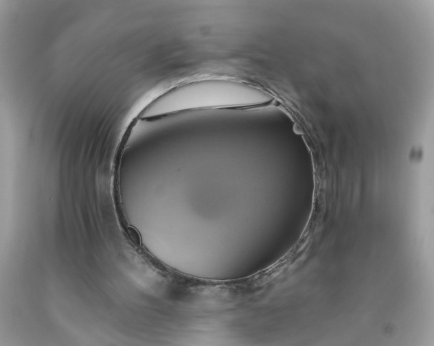 X0000091590100200709051130