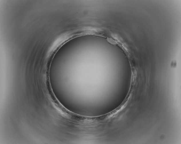 X0000091590101200709051130