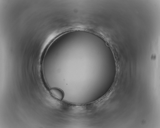 X0000091590102200709051130