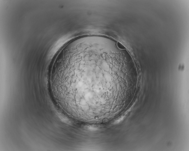 X0000091590103200709051130