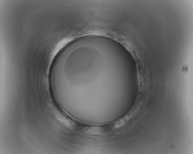 X0000091590104200709051130