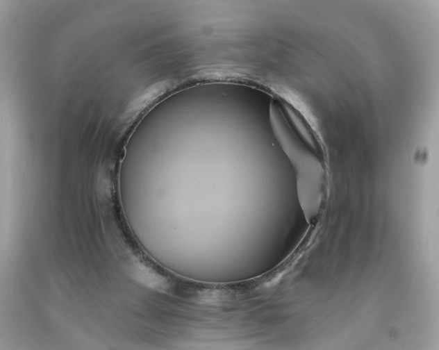 X0000091590105200709051130