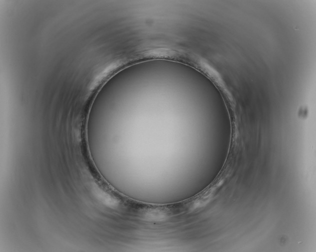 X0000091590106200709051130