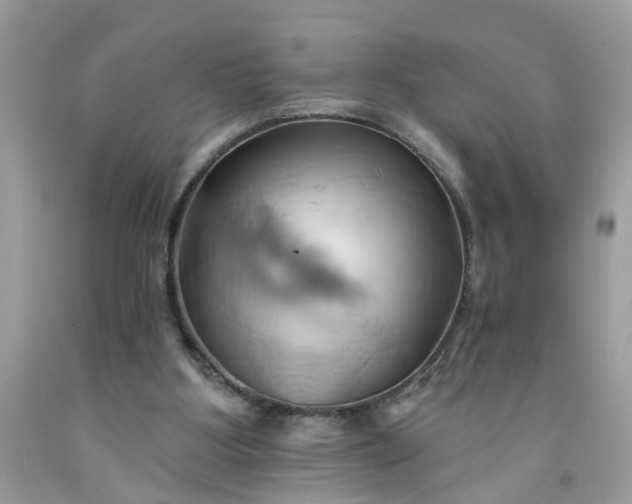 X0000091590107200709051130