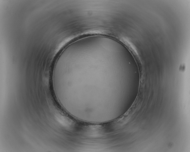 X0000091590108200709051130