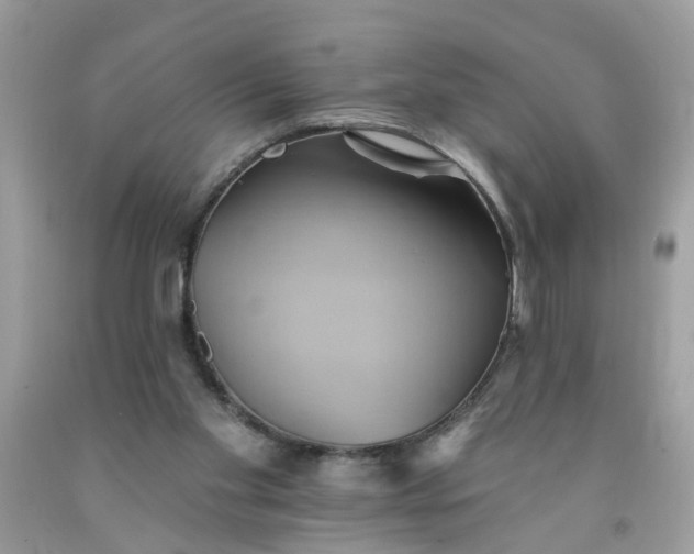 X0000091590109200709051130