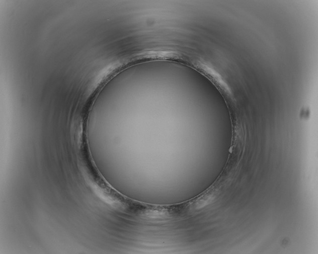 X0000091590110200709051130