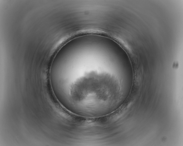 X0000091590111200709051130