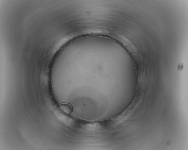 X0000091590112200709051130