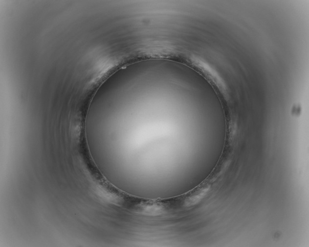 X0000091590113200709051130