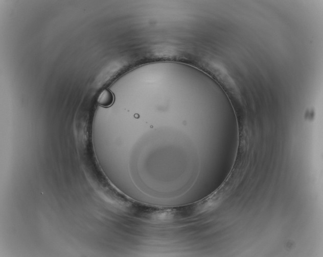 X0000091590116200709051130