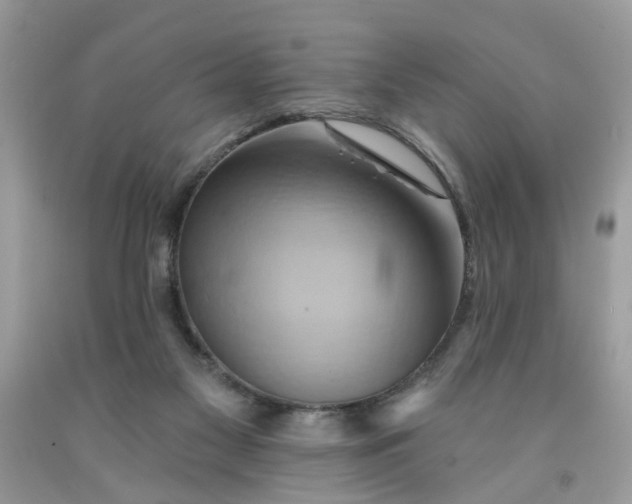 X0000091590117200709051130