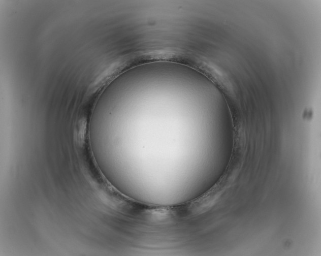 X0000091590118200709051130