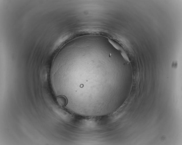 X0000091590120200709051130