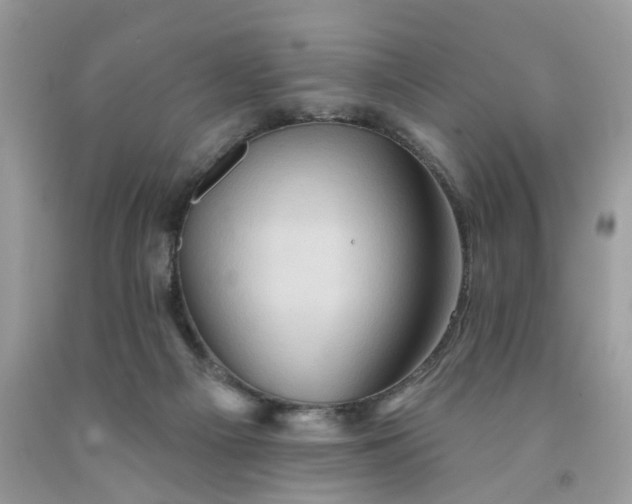 X0000091590121200709051130