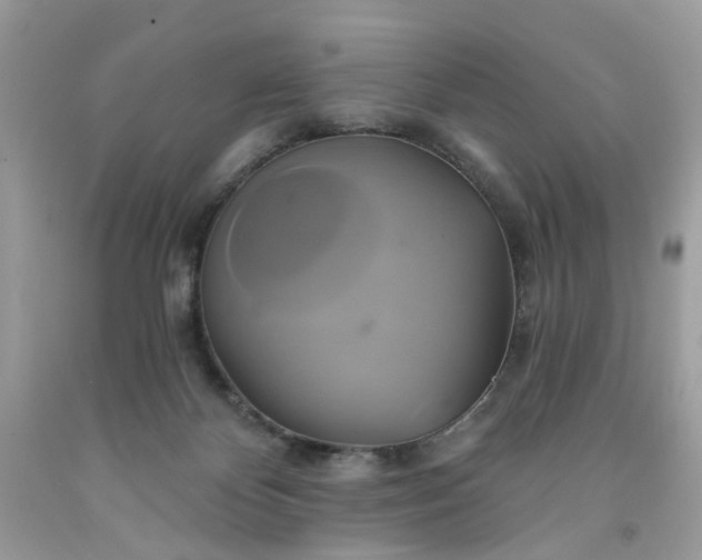 X0000091590124200709051130