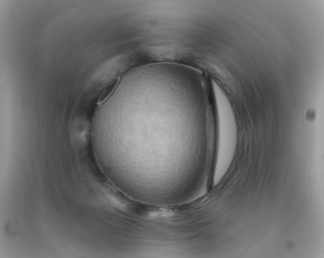 X0000091590125200709051130