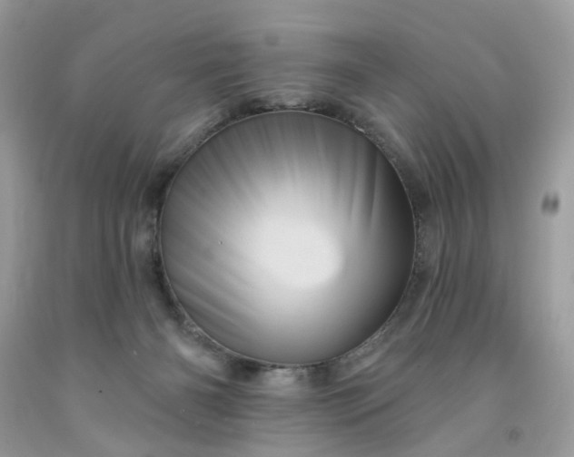 X0000091590126200709051130