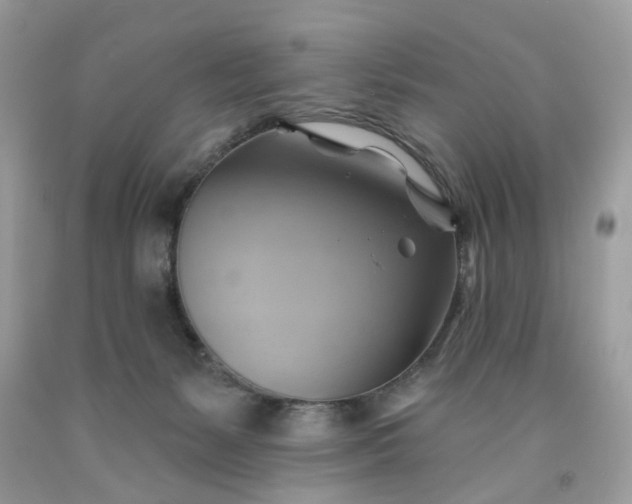 X0000091590127200709051130