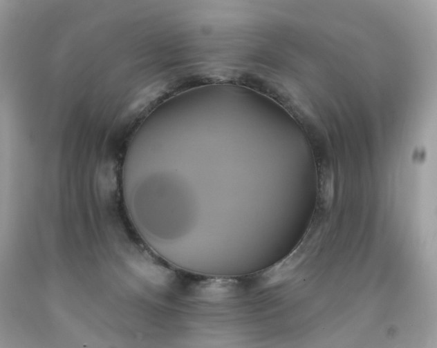 X0000091590128200709051130