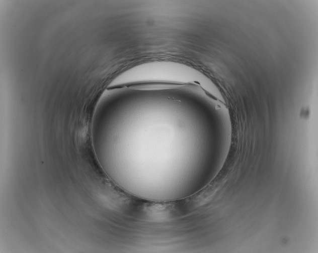 X0000091590129200709051130