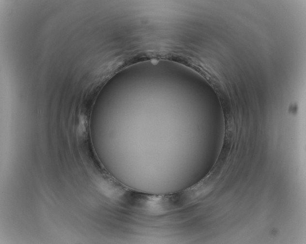 X0000091590130200709051130