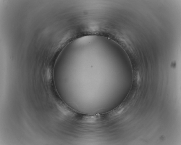 X0000091590131200709051129