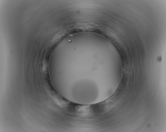 X0000091590132200709051129
