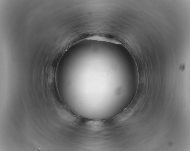 X0000091590133200709051129