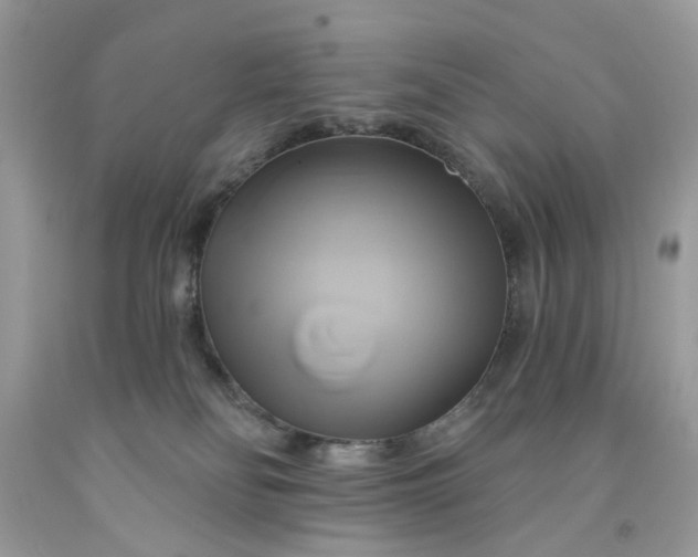 X0000091590134200709051129