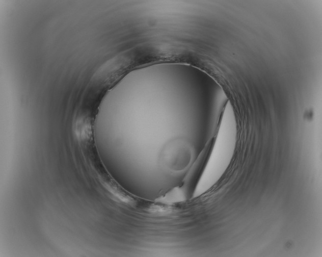 X0000091590137200709051129