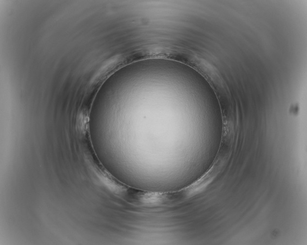 X0000091590142200709051129