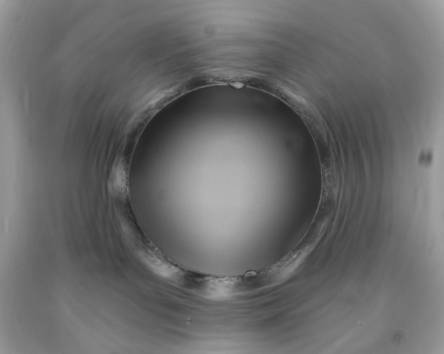 X0000091590143200709051129