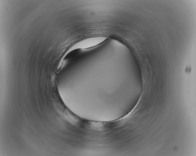 X0000091590144200709051129