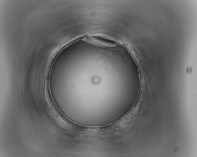 X0000091590145200709051129