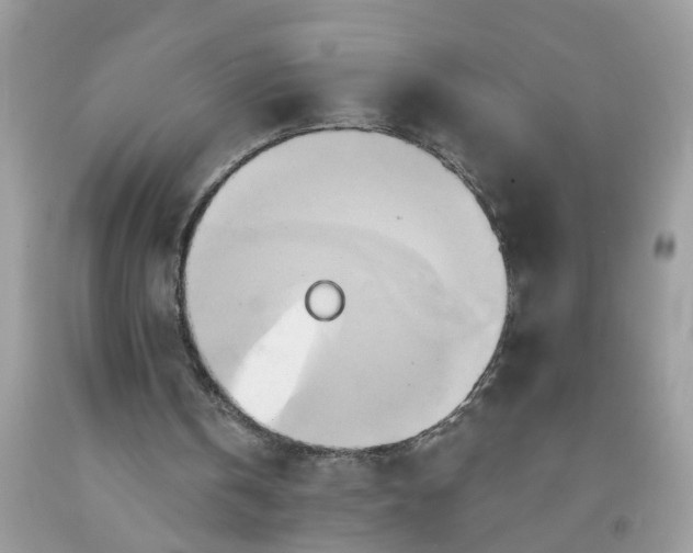 X0000091590146200709051129