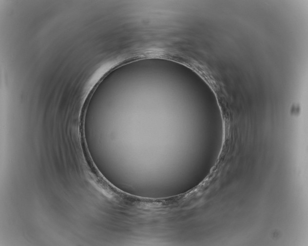 X0000091590147200709051129