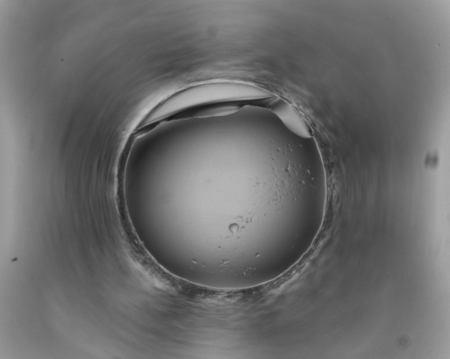 X0000091590148200709051129