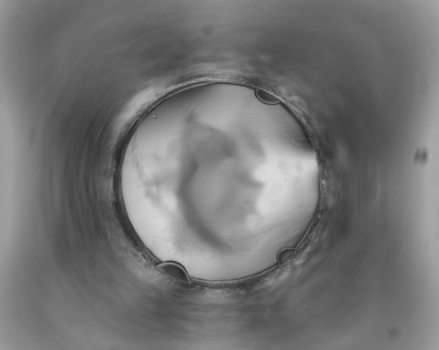 X0000091590149200709051129