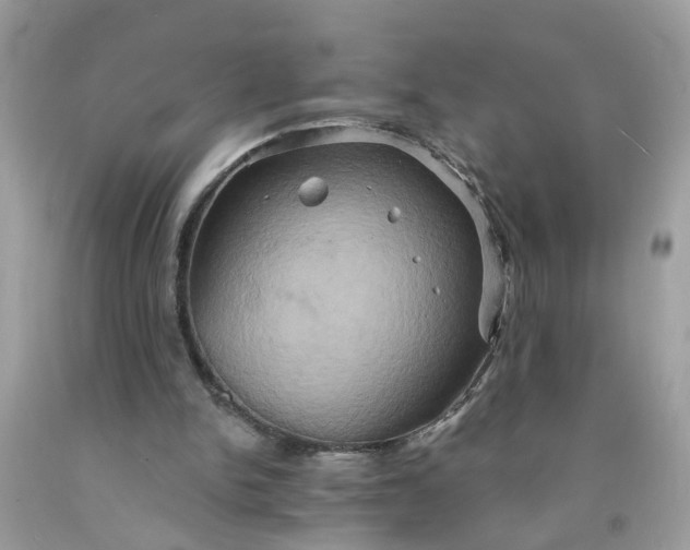 X0000091590150200709051129