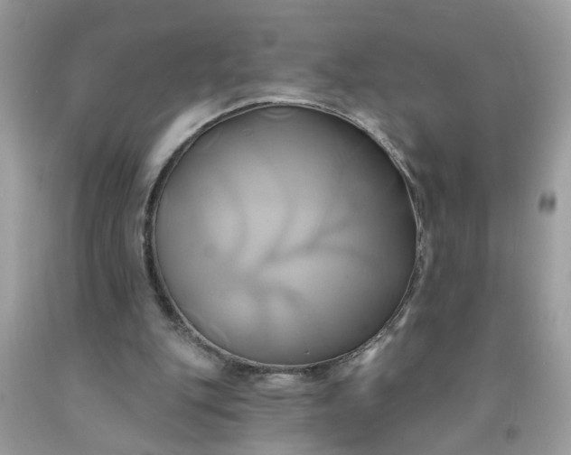 X0000091590151200709051129