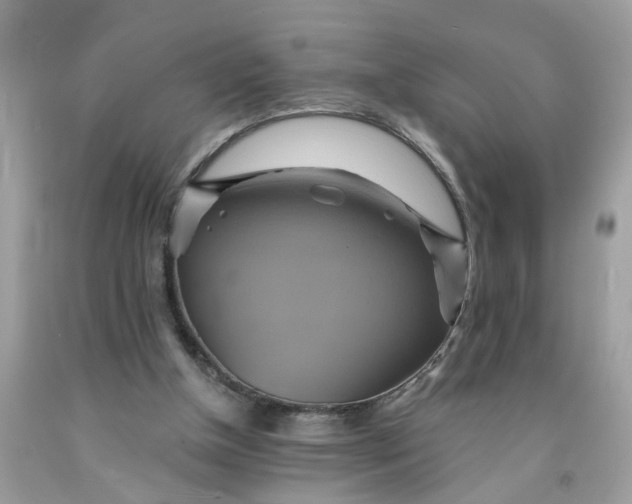 X0000091590154200709051129