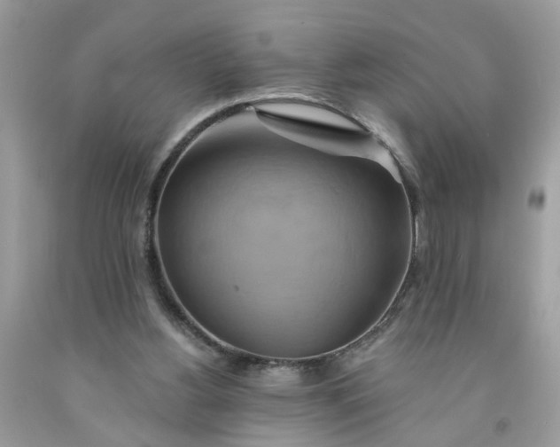 X0000091590156200709051129