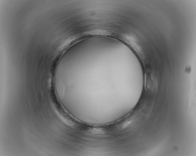 X0000091590157200709051129